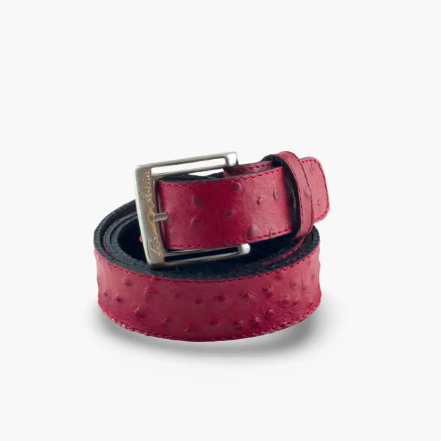Ceinture cuir rouge chic - Accessoires pour chaussures