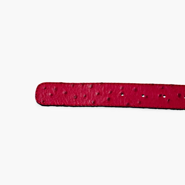 Ceinture cuir rouge chic - Accessoires pour chaussures