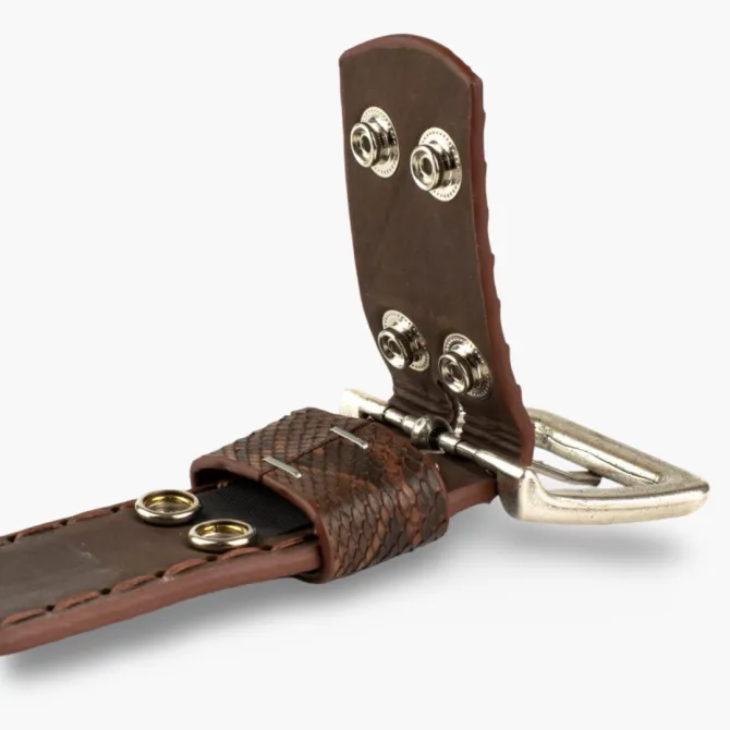 Ceinture serpent marron véritable - Accessoires pour chaussures