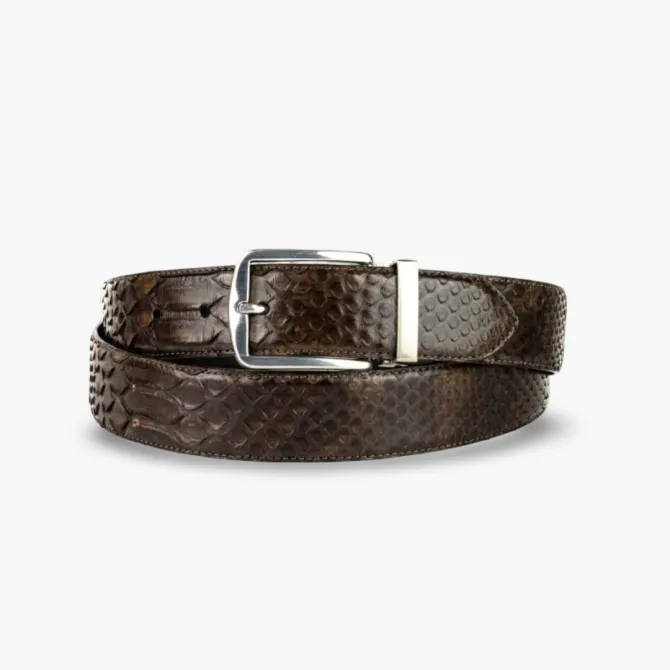 Ceinture en serpent véritable - Accessoires pour chaussures