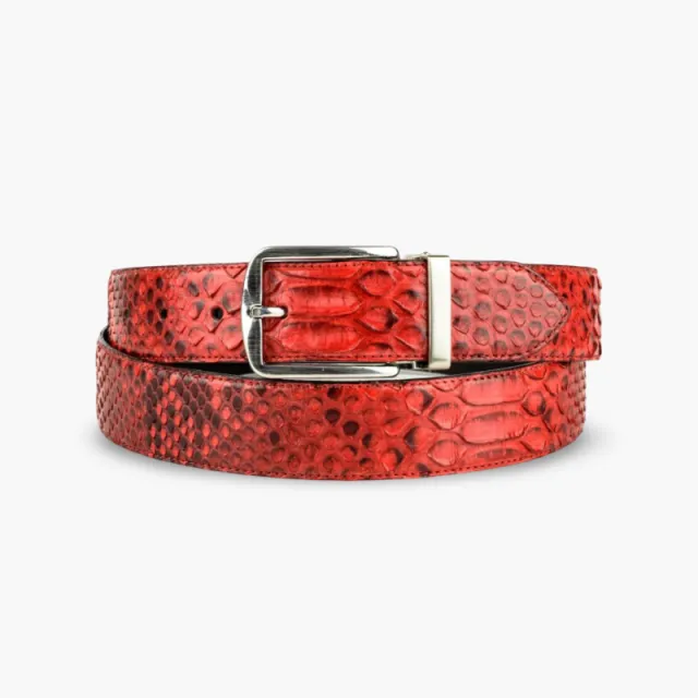 Ceinture en serpent véritable - Accessoires pour chaussures